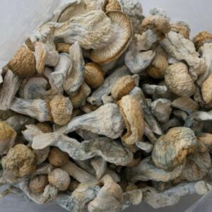 Where to buy Penis Envy Mushrooms in Alberta, THC Edibles Near Me Hamilton, LSD Tabs For Sale in St Catharines-Niagara, Buy 5-MOE-DMT in Trois-Rivières